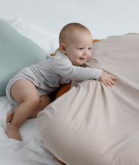 Baby Nest Bed Crib